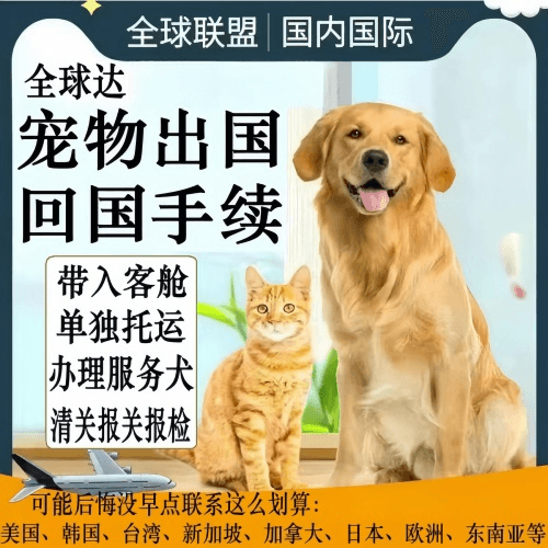 芜湖市宠物托运到柬埔寨宠物入境规定和要求