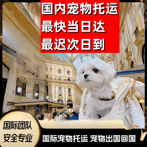 芜湖市到澳大利亚（澳洲）宠物入境规定和要求